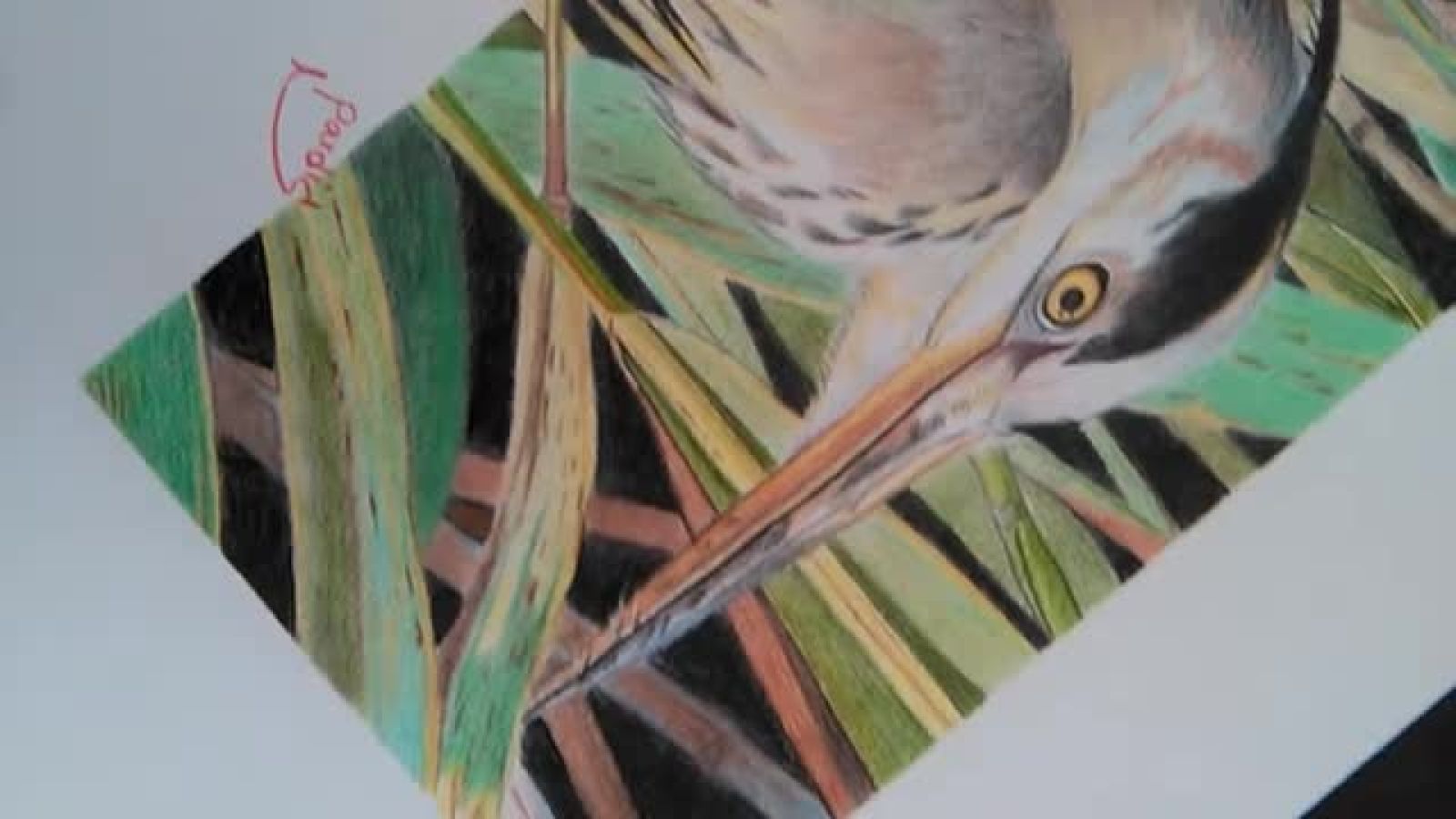 ⁣نقاشی پرنده