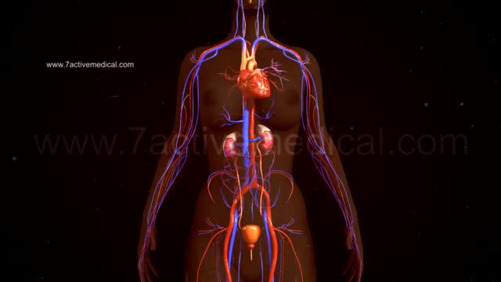 همودیالیز و دیالیز صفاقی دکترجدید