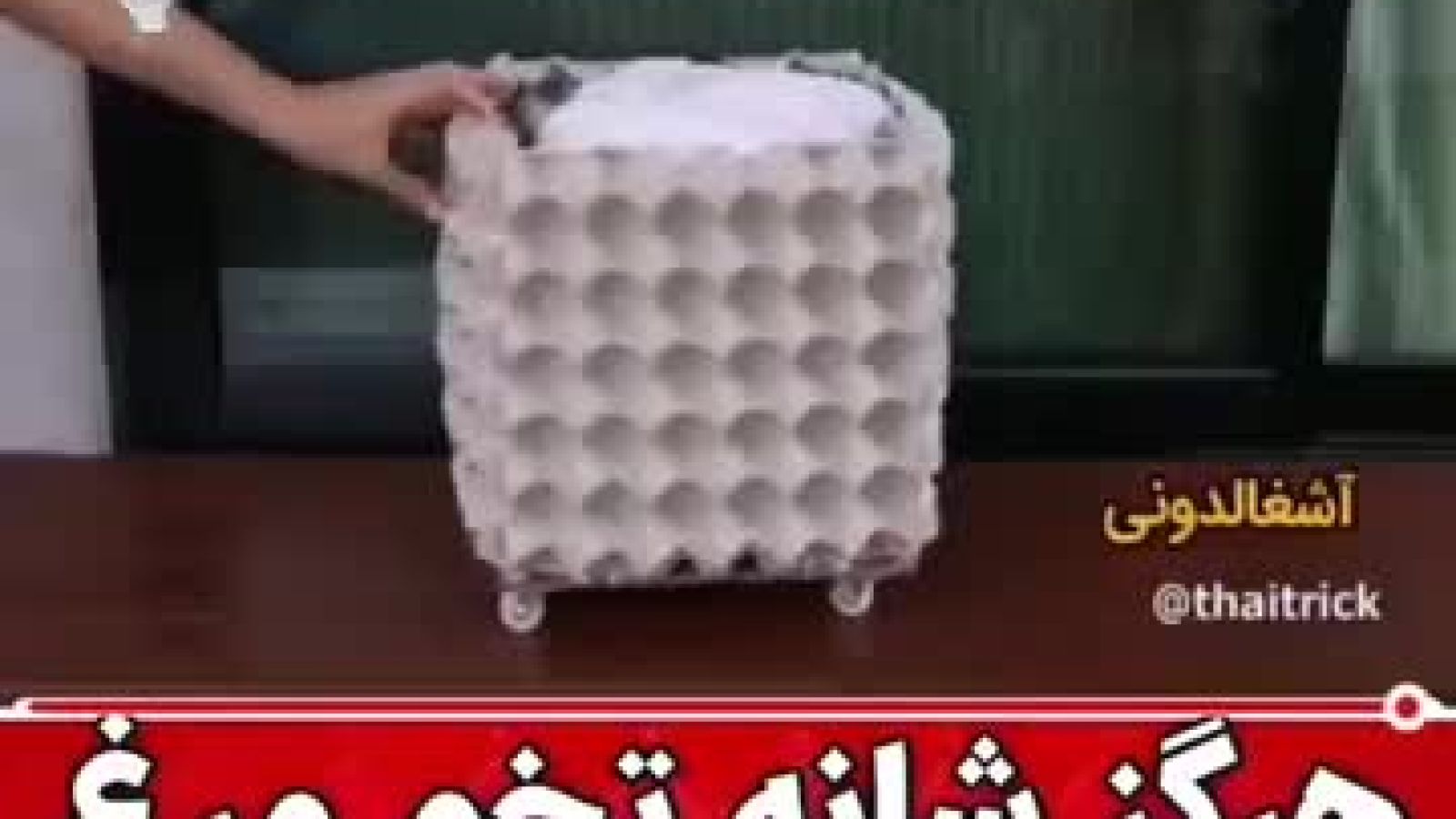 ⁣خلاقیت با شانه تخم مرغ