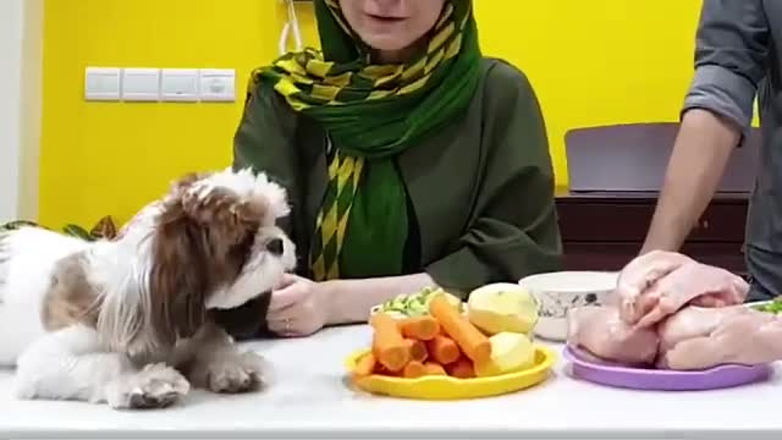 ⁣DOG AND CAT HOMEMADE FOOD غذای سگ و گربه خانگی