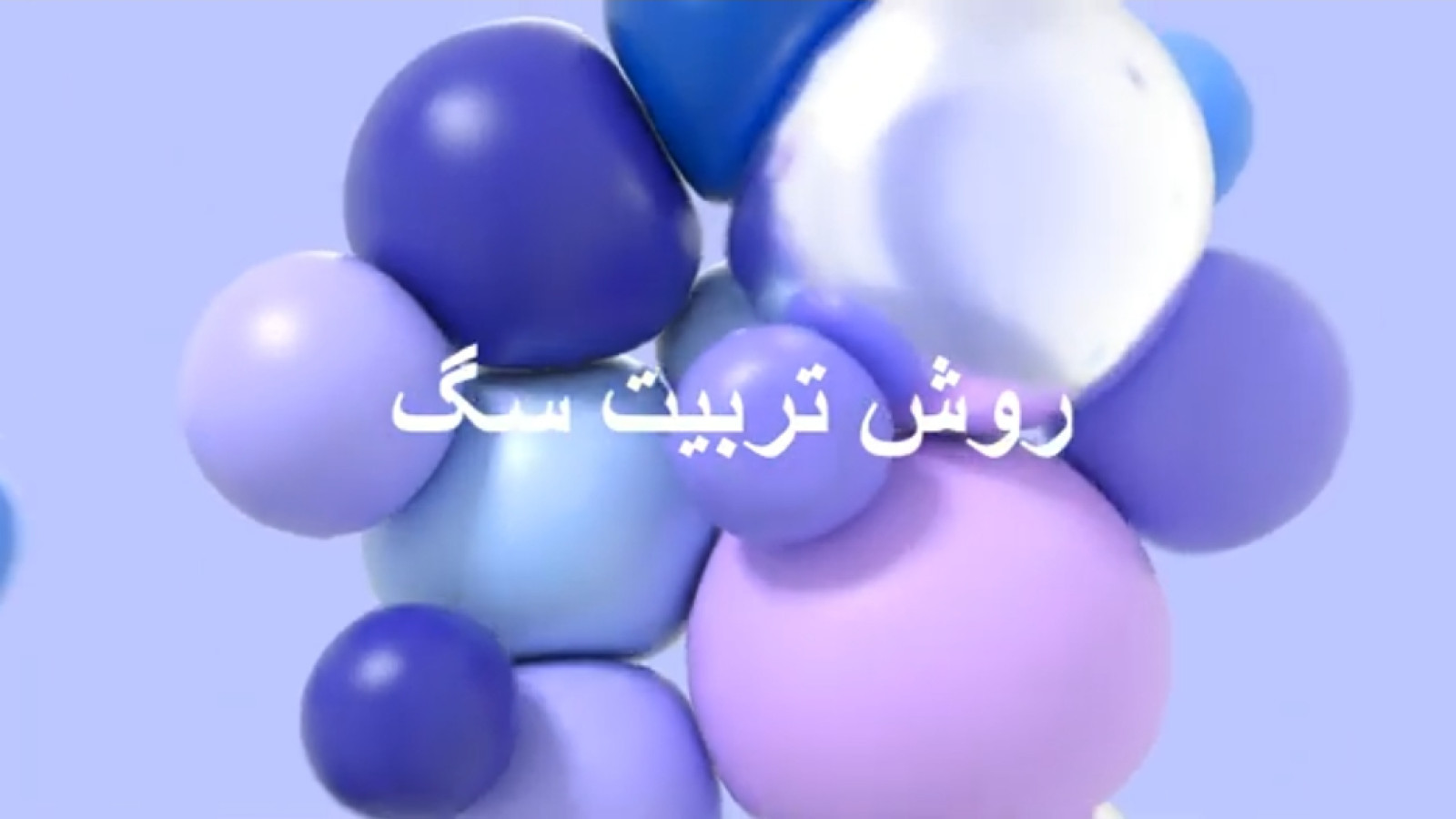 ⁣روش تربیت سگ