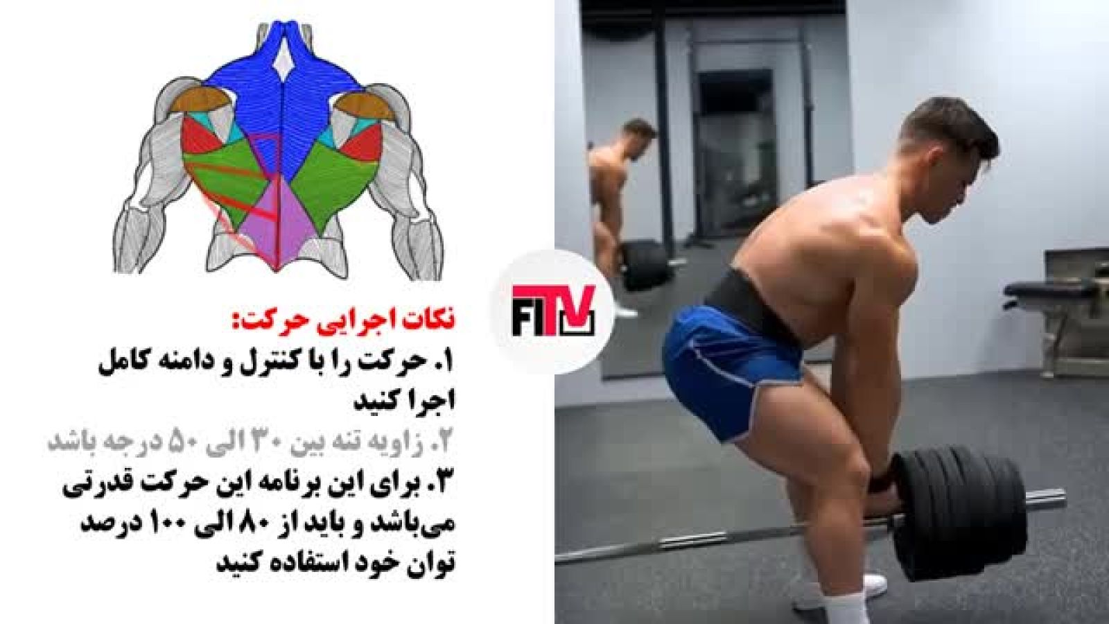 برنامه تمرینی عضله پشت یا زیربغل