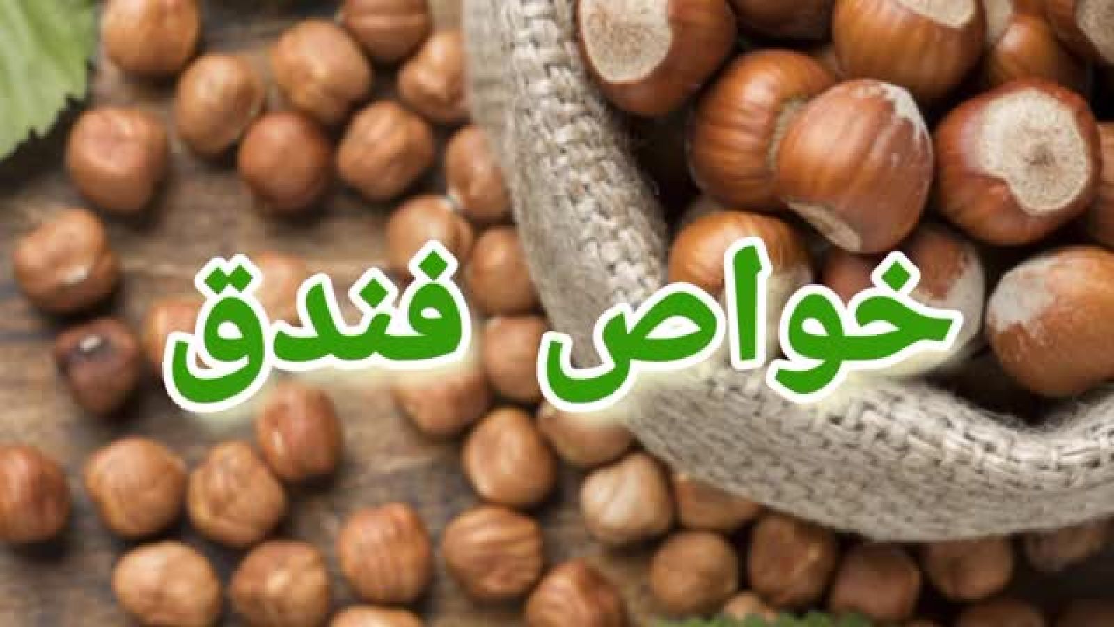 ⁣خواص فندق _ گرده پر خاصیت