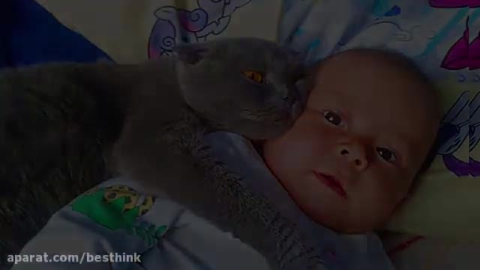 ⁣بازی گوشی های بچه ها با گربه ها 🐱🐱🥰🥰😂😂