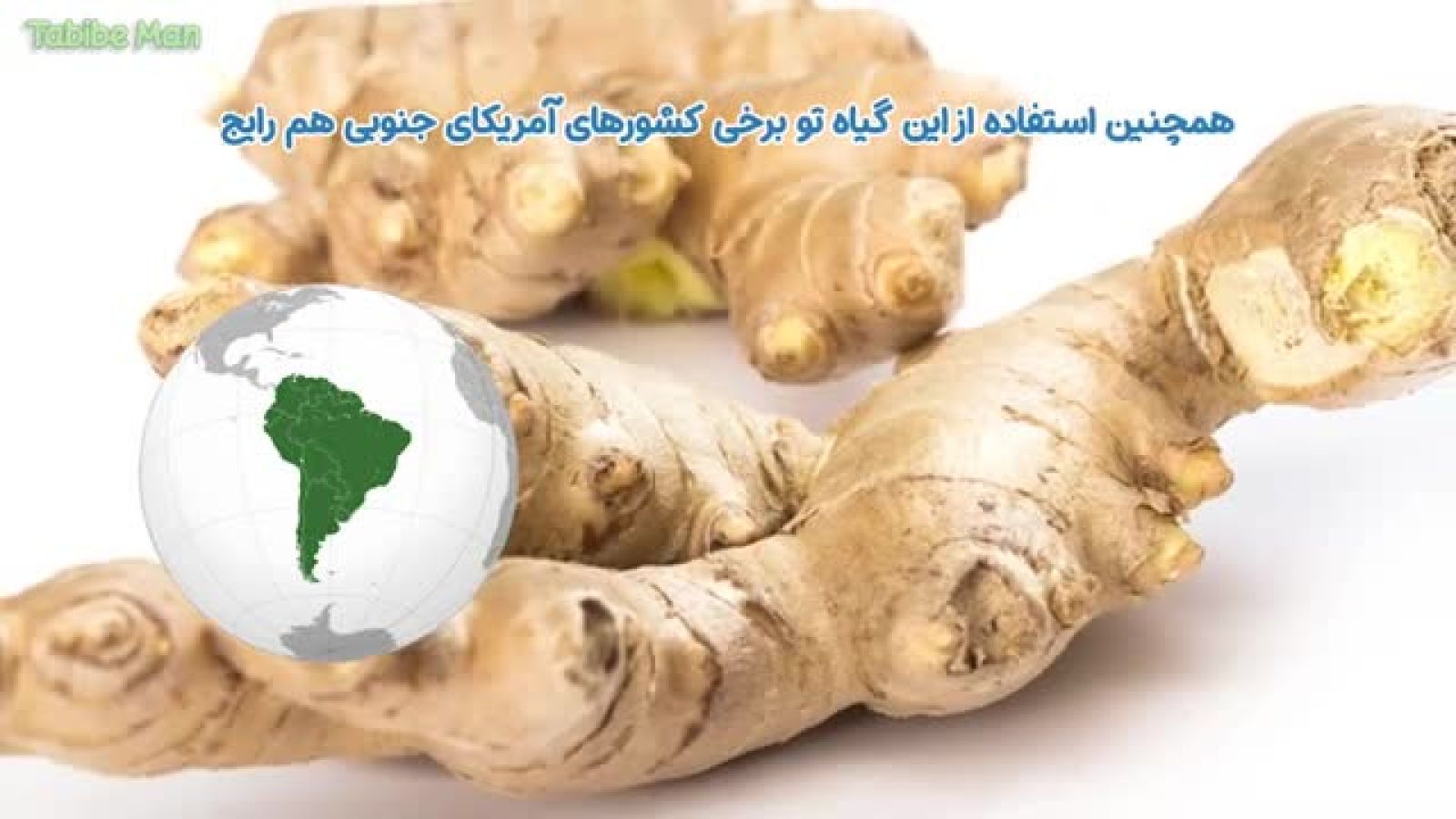 ⁣خواص زنجبیل برای سلامتی _ همه چیز درباره خواص زنجبیل