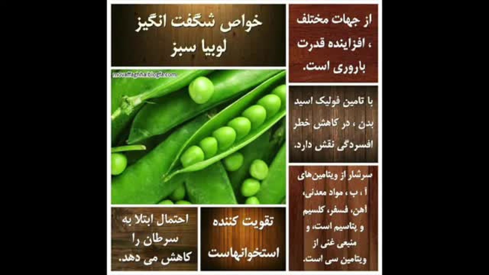 خواص لوبیا سبز