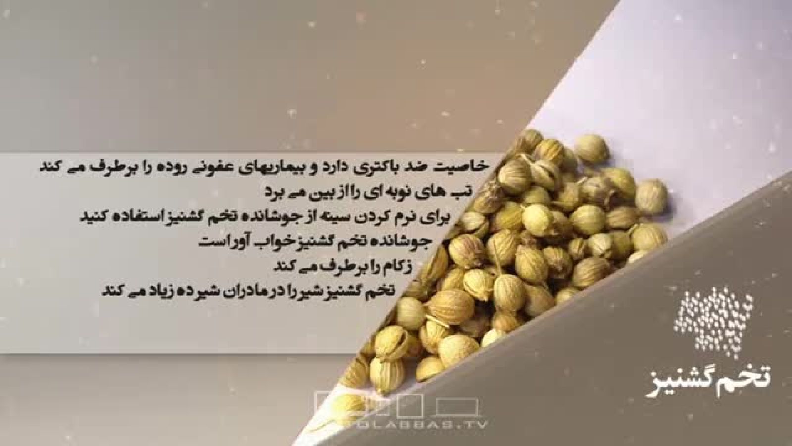 ⁣خواص غذایی و درمانی تخم گشنیز