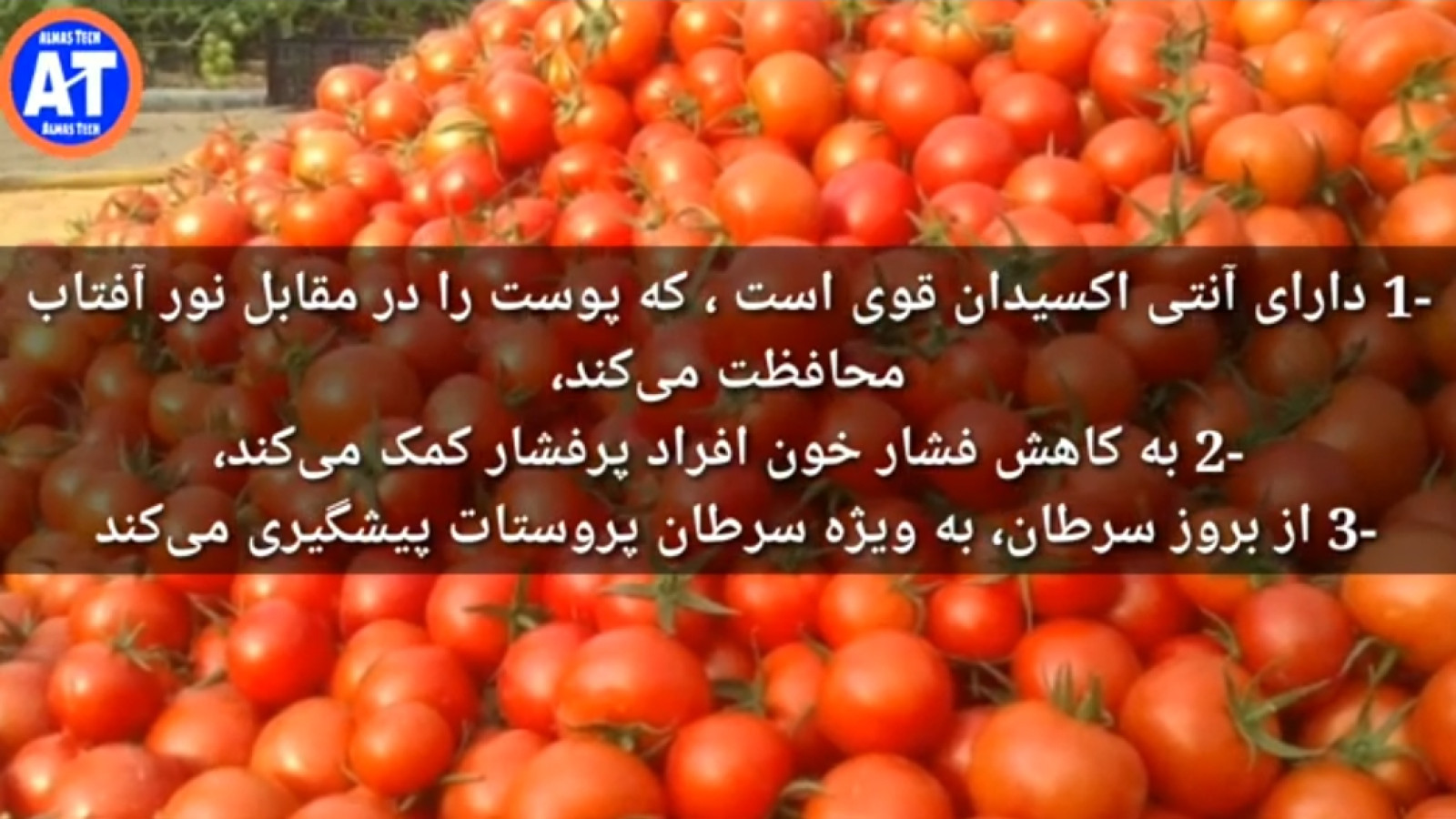 ⁣بادمجان فواید و خواص زیادی دارد