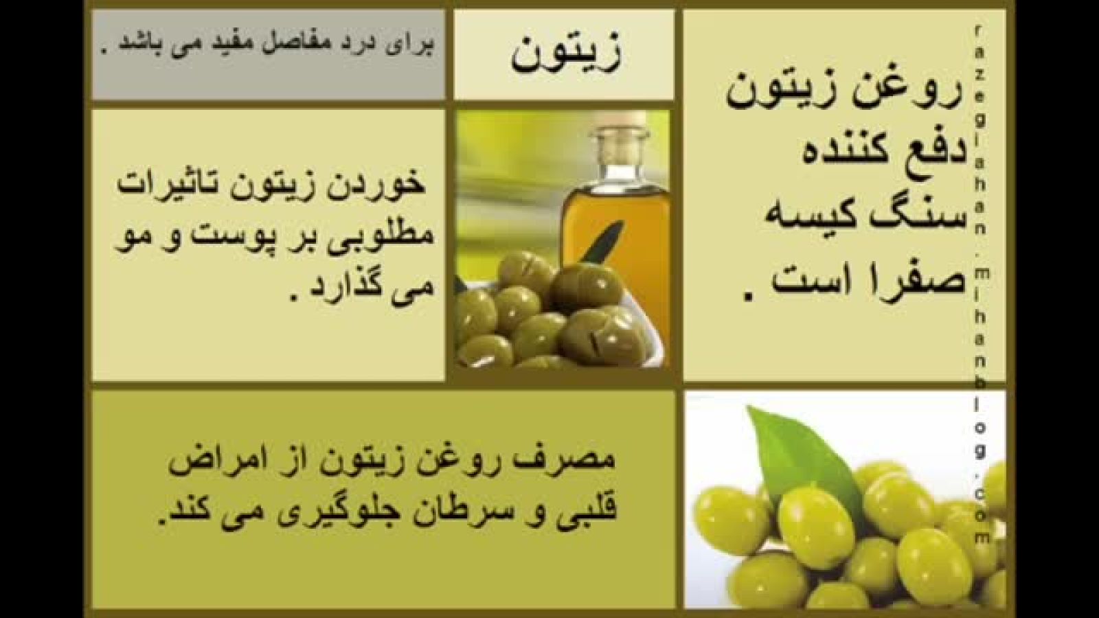 ⁣خواص ویژه روغن زیتون -