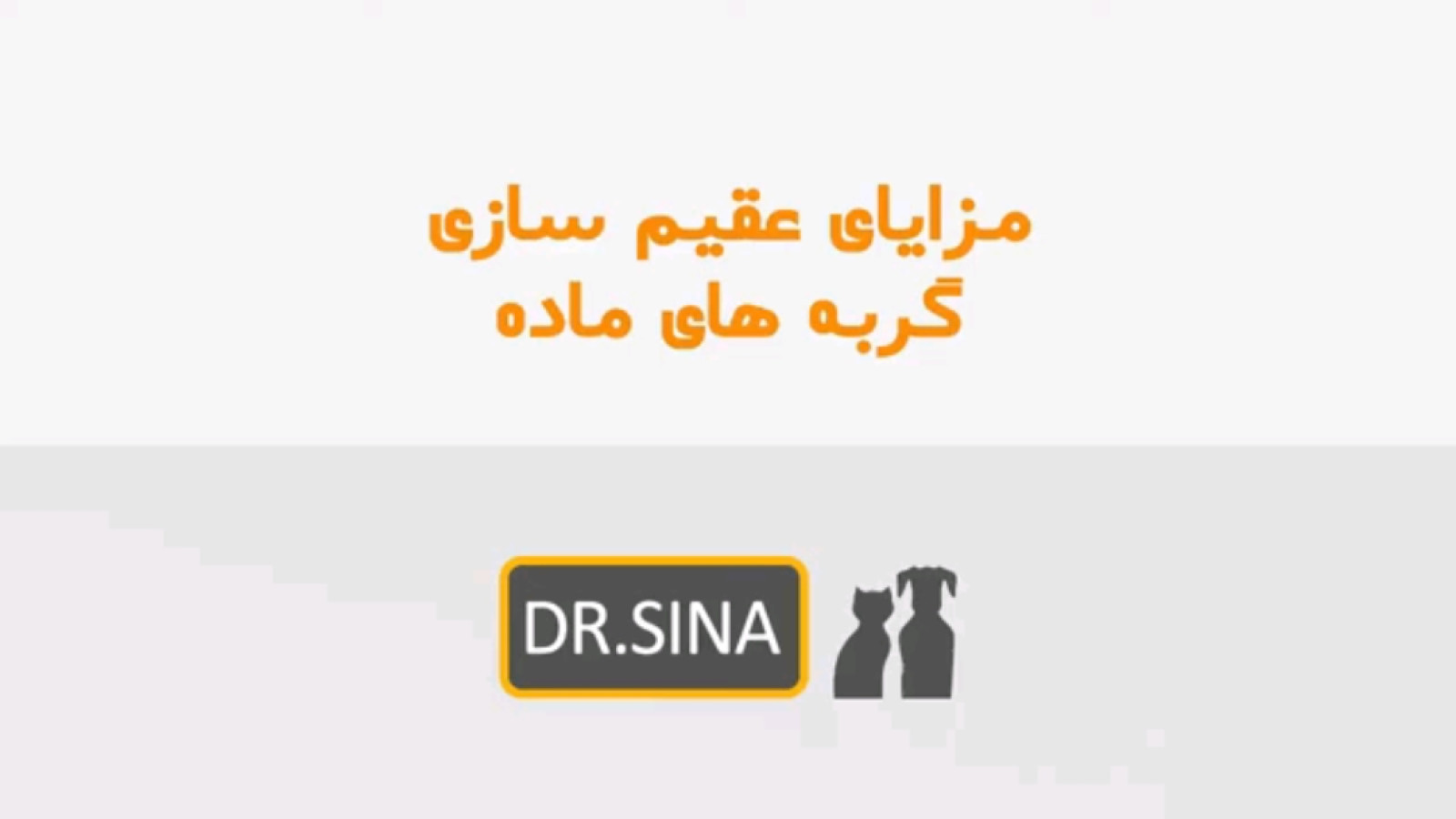 ⁣مزایای عقیم سازی گربه های ماده