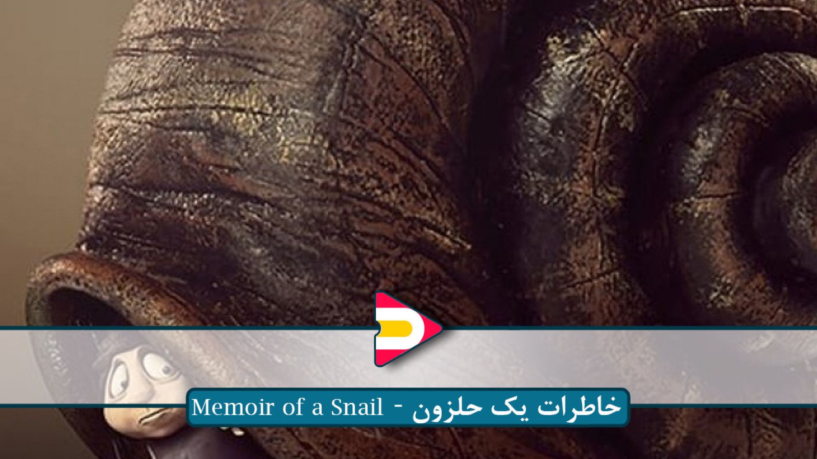 ⁣تماشای انیمیشن خاطرات یک حلزون (Memoir of a Snail) ۲۰۲۴ – داستانی احساسی و استاپ‌موشن از سینمای استر